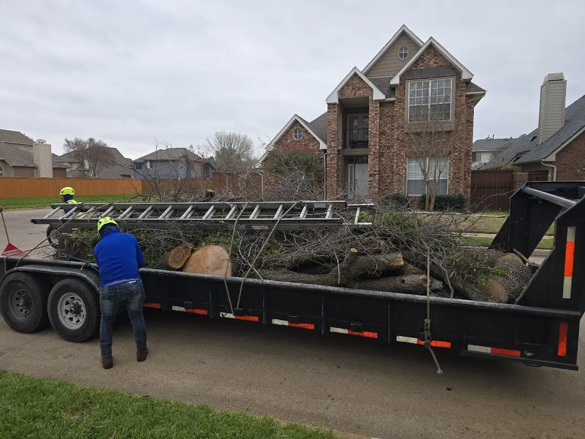 Expert Lot Clearing with proper safety equipment in Boles